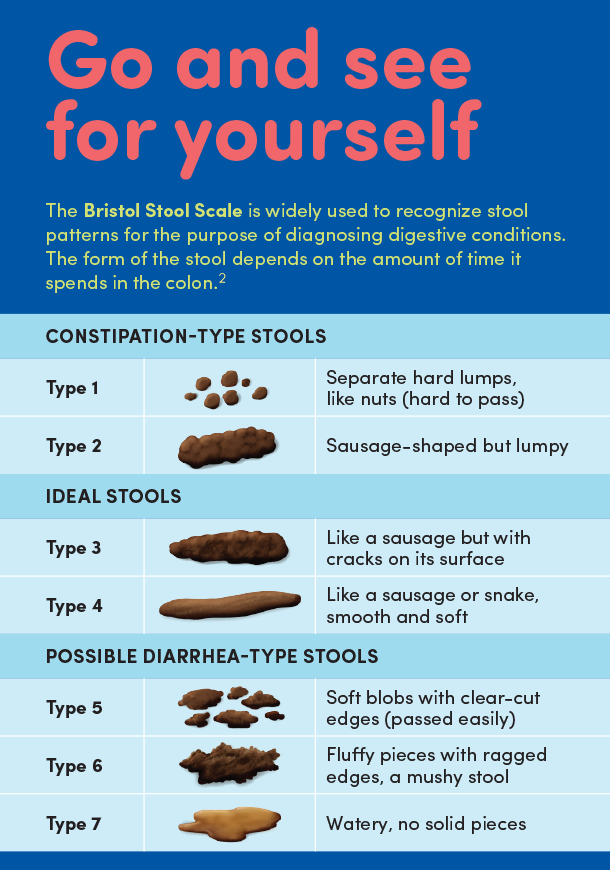 Bristol Stool Chart Diarrhea